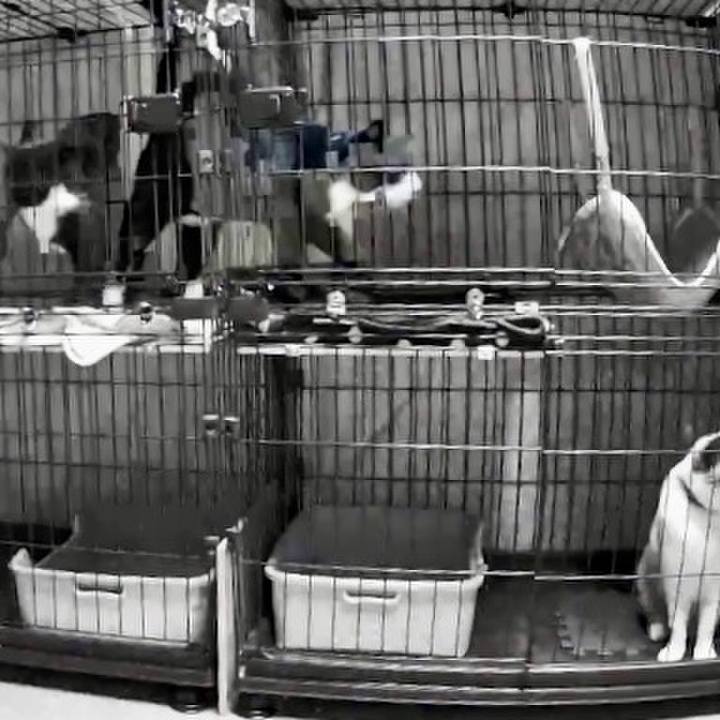 25461b25 ef4f 4d01 a591 2c305fb59cbc 1731867641950