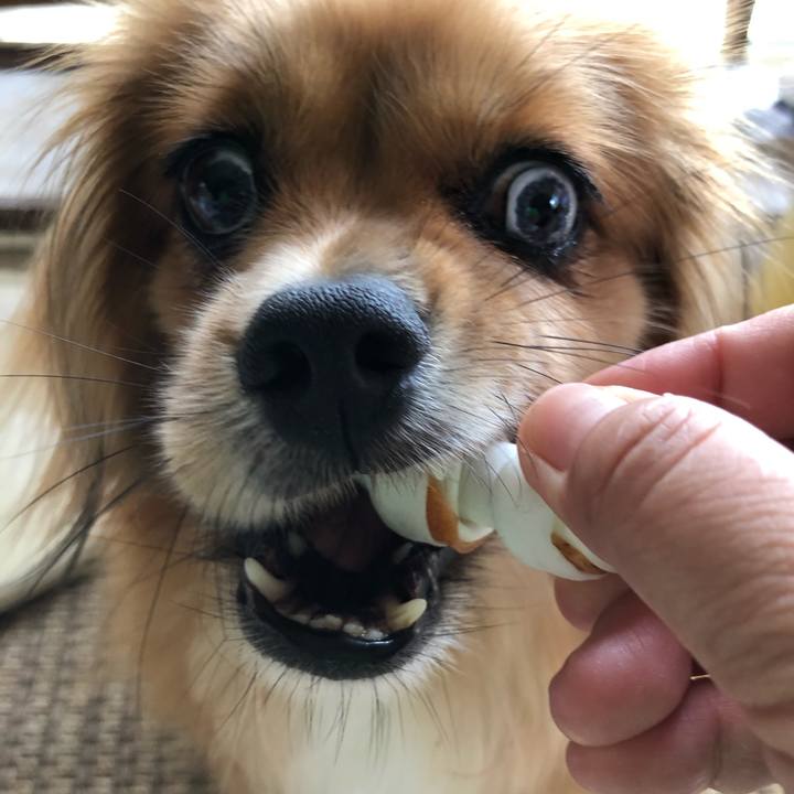 254622c8 48b9 42a2 93b6 d76b0a63e150 1565832979010