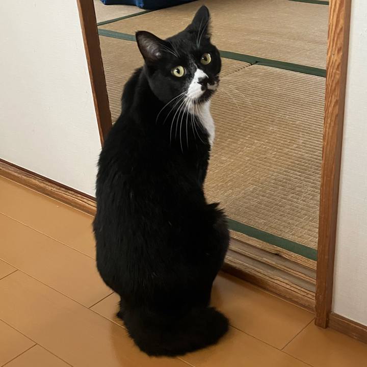 254626f4 7004 418e b487 02d05400a6f5 1765963114349