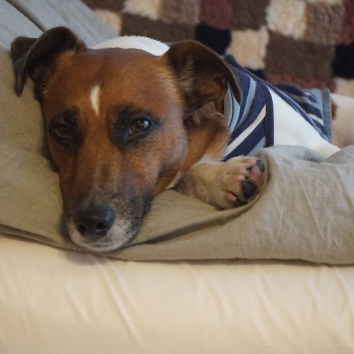 2546799b bb92 48b1 85f1 3fd12689a095 1515544676482