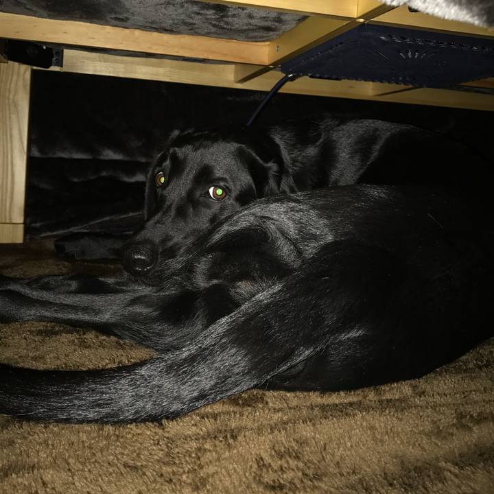 25467e80 bc3b 48d6 97b3 b06654edb7e5 1512995243164