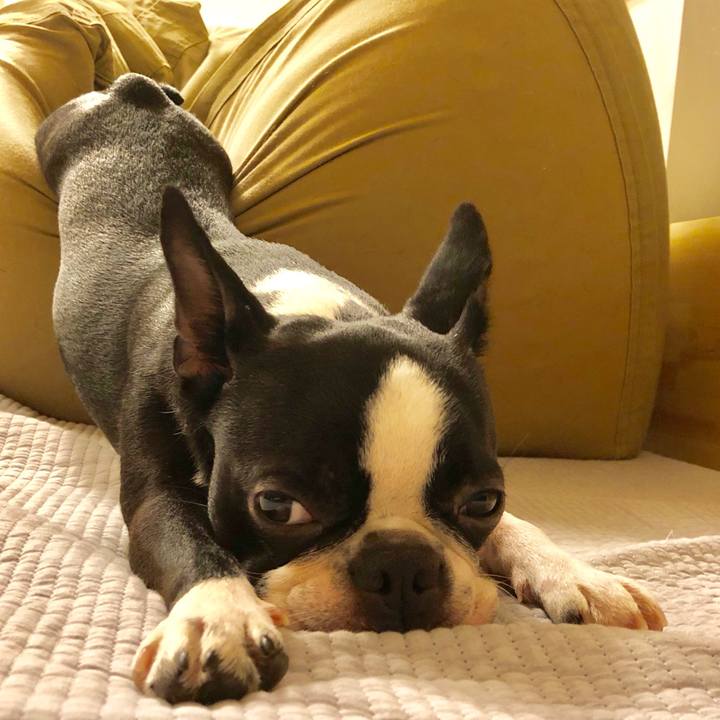 25469bff ef64 46de 810a 9a05aa647c28 1516779334938