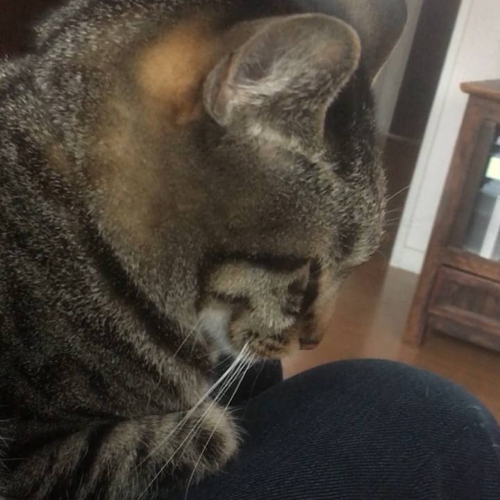 2546b4ad 0a78 4770 99e9 69ca8ea376c2 1552565702907