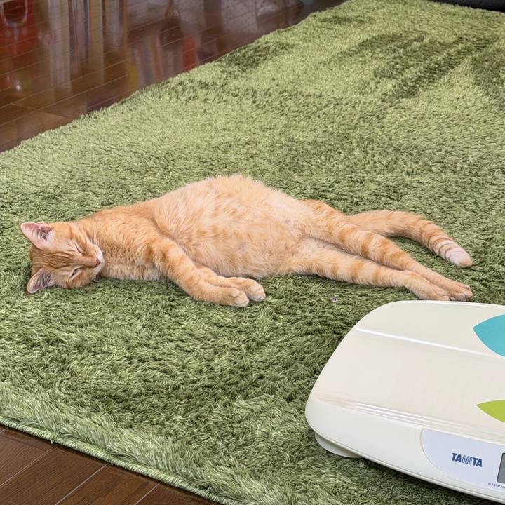 2546b5e7 8bda 4f1b a356 347545ba5bea 1761107123433