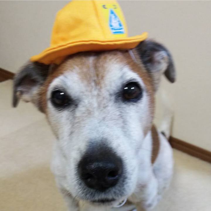 2546e5d3 1829 4544 8058 ca1a042ca6ed 1744630945908