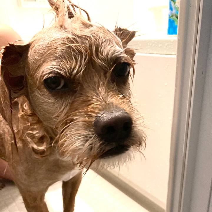 25471a5c dbb9 4f99 9d12 5a39fe995f47 1696509297568