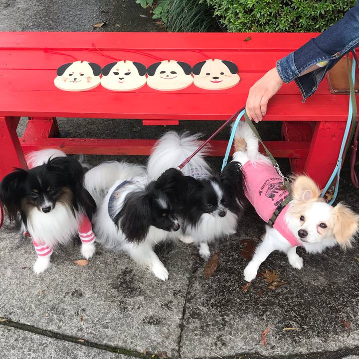 25472bc9 8b91 42e4 8e8e b787484eff68 1539499018025