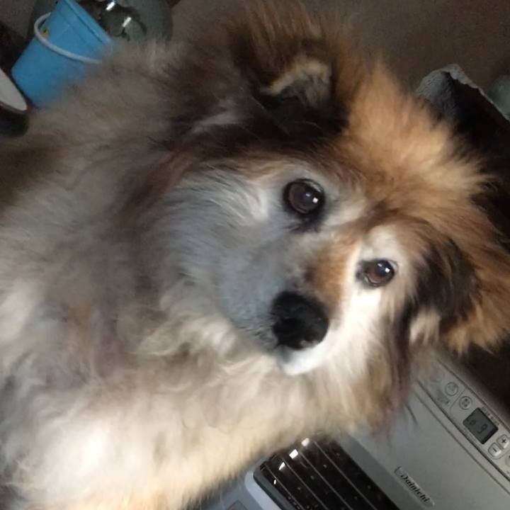 25477062 b111 45f1 8e63 59ba7037285c 1590566733804