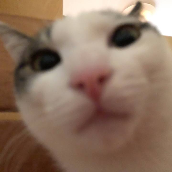 25477b5e 35cf 48a6 8d56 14a0c23e457a 1581374541245