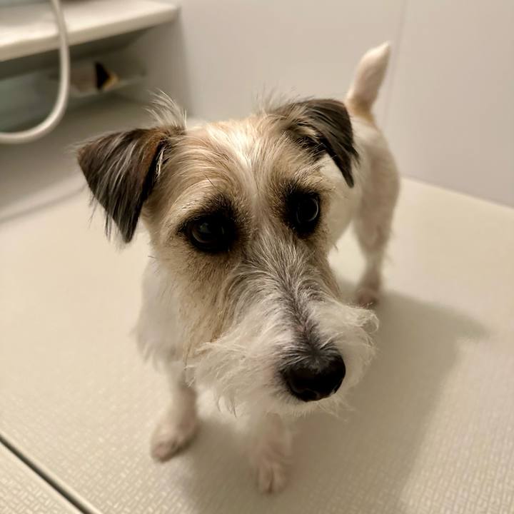 2547eafa a201 46ab 9b12 3612797ce9d5 1703775253085