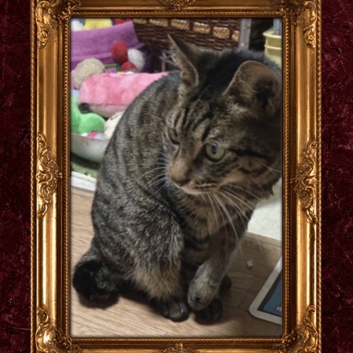 2548045a 670a 4717 98cc f32474da9b42 1639908810217