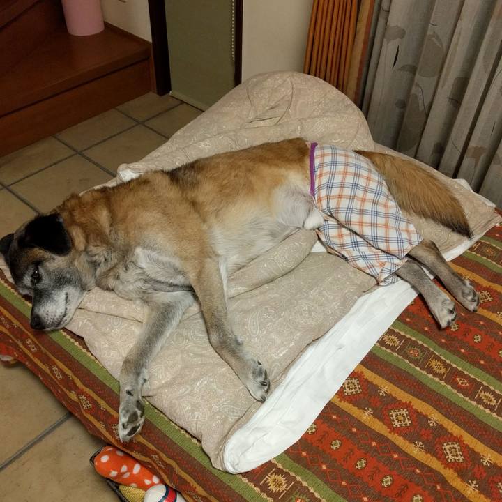 25482d14 707e 4bf0 aaa6 5f06fbf2fe83 1515849980780