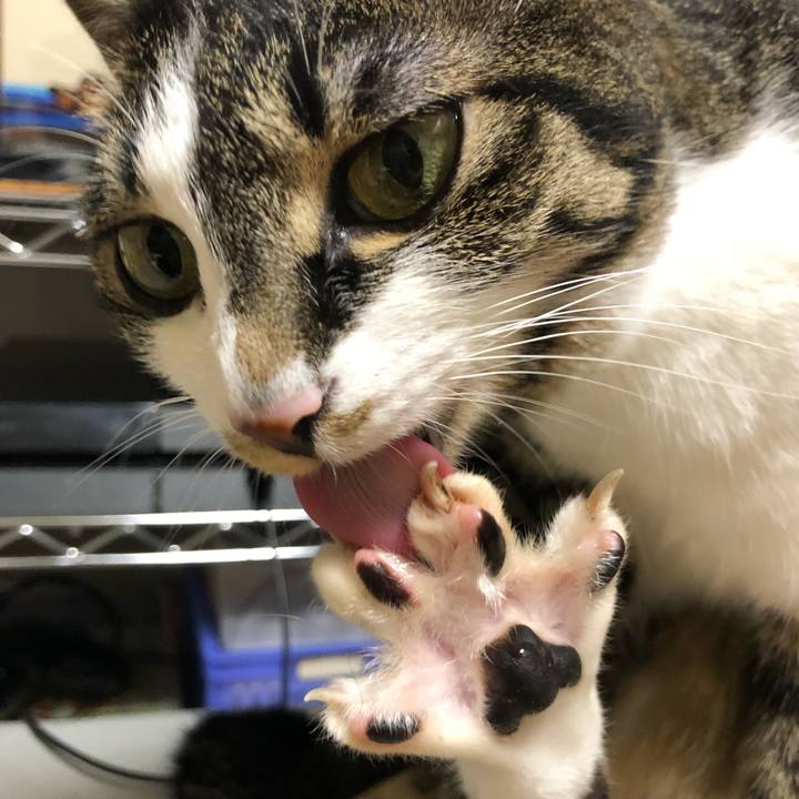 25483889 7239 4516 87b1 307a78f4e5fd 1527796206953