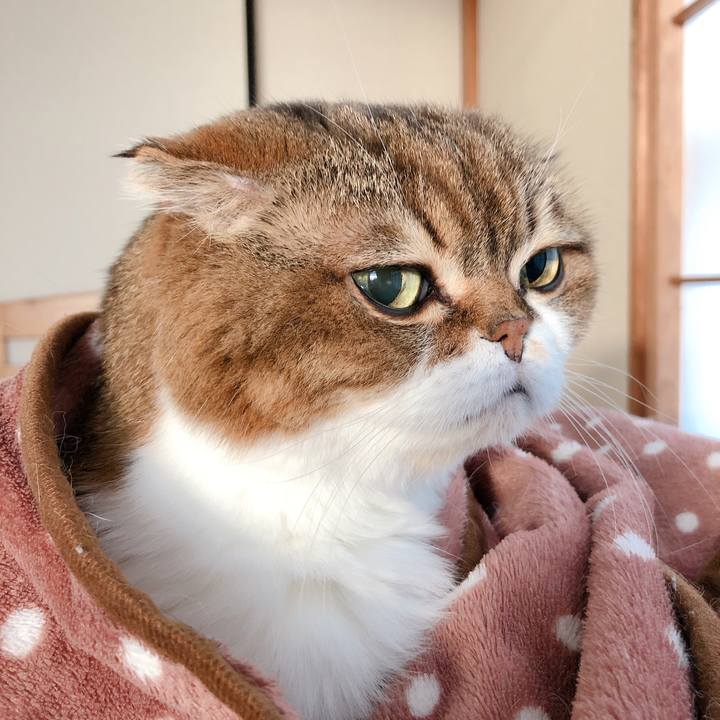 25483a2a f9de 4bc0 9545 f956ea71f8bf 1602800940929