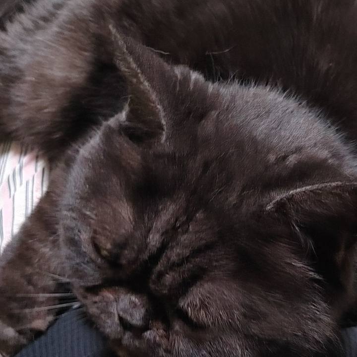 2548608f 0fc3 4c66 9ab9 c02d4a1d00f1 1638697183861