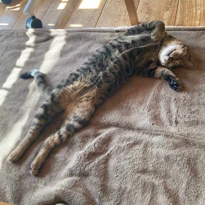 25487dd1 e9f6 4158 9af1 daf4a7186ece 1667737161678