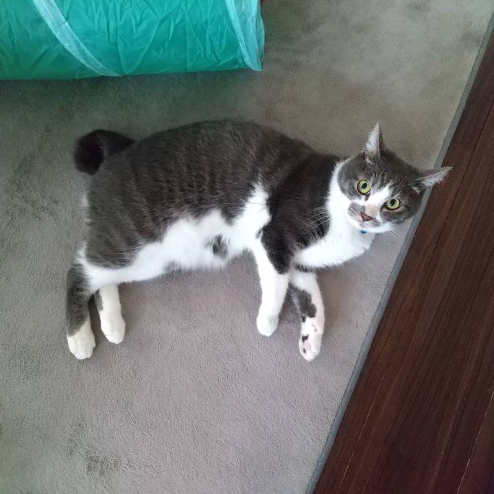 2548bcde 80a7 457a bbbc a3ffa81ac759 1601343811982