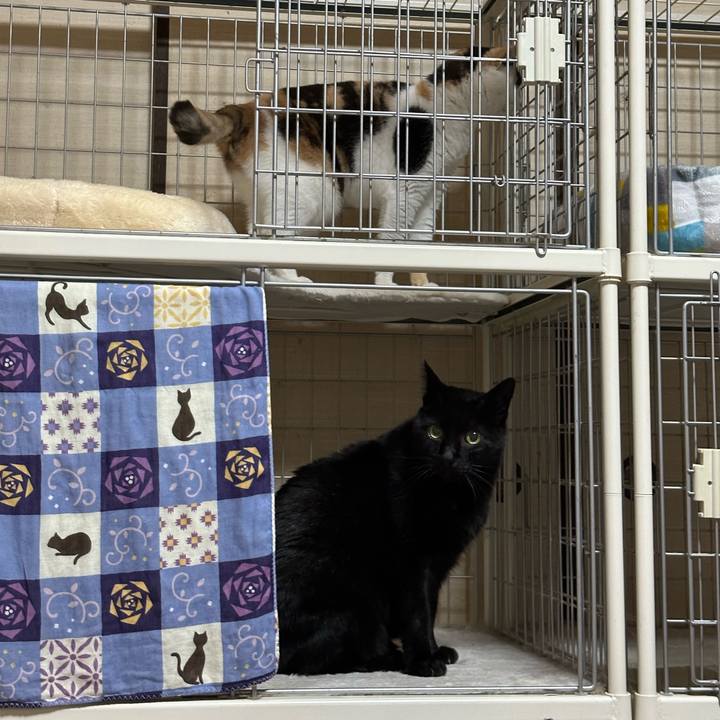 2548da5b 605a 417e 95d5 4086ca6b1bd1 1677722303364