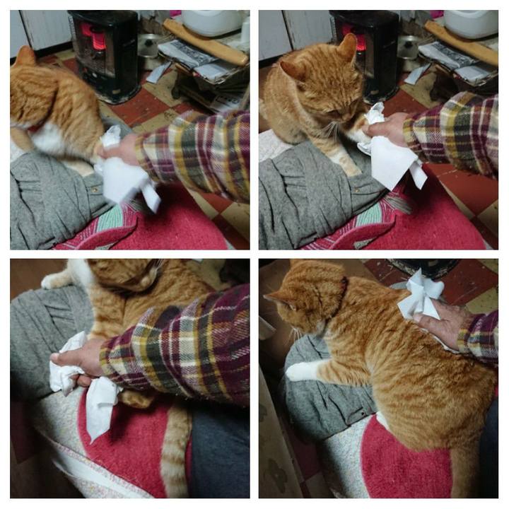 25491e7a 3ba5 4e19 8fb7 6d8f74166436 1578879548580