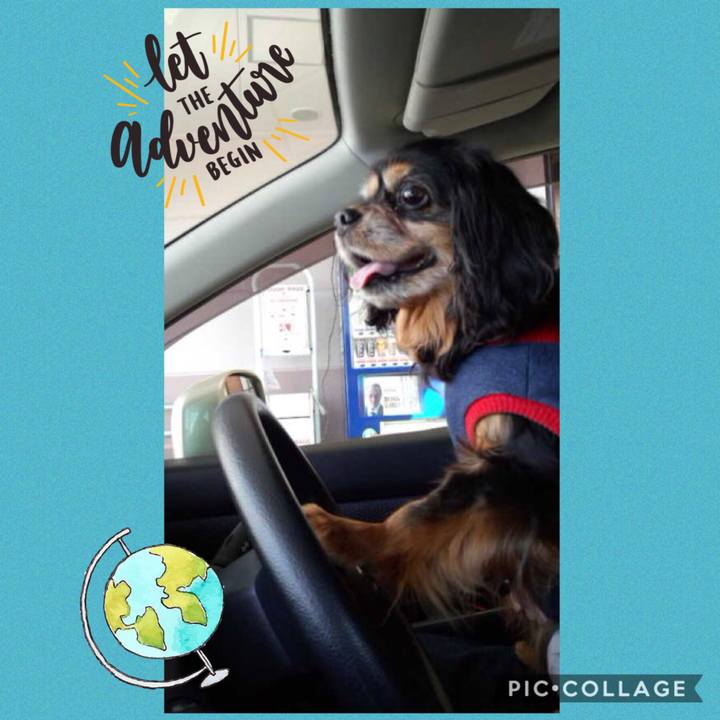 2549400c 7474 4b52 920a c43394c4f4b7 1552552412738