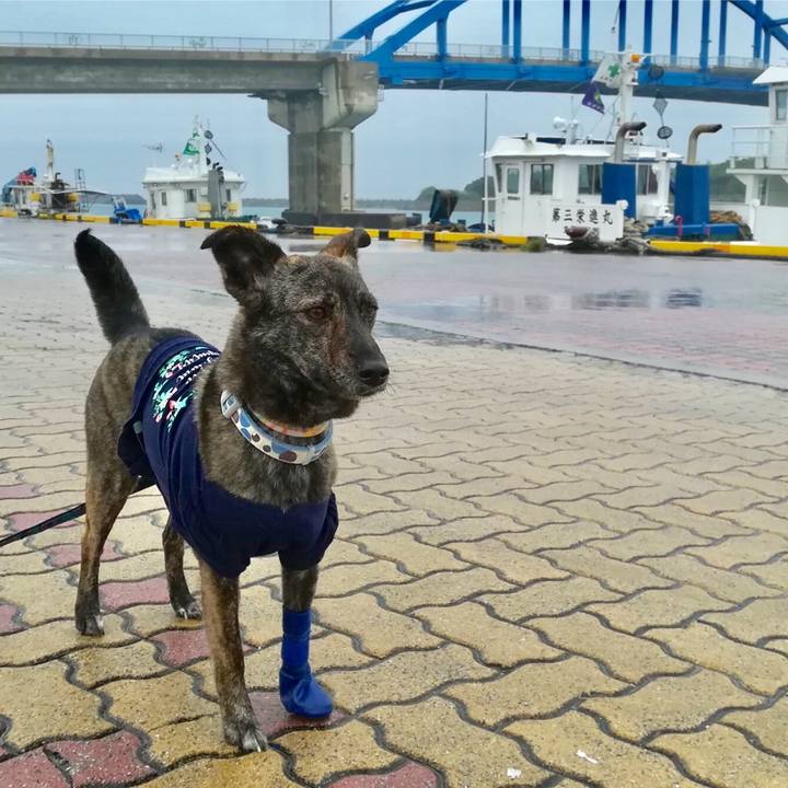 25495e7d 0736 4ee7 ac0a bd861ac6011d 1555068944513