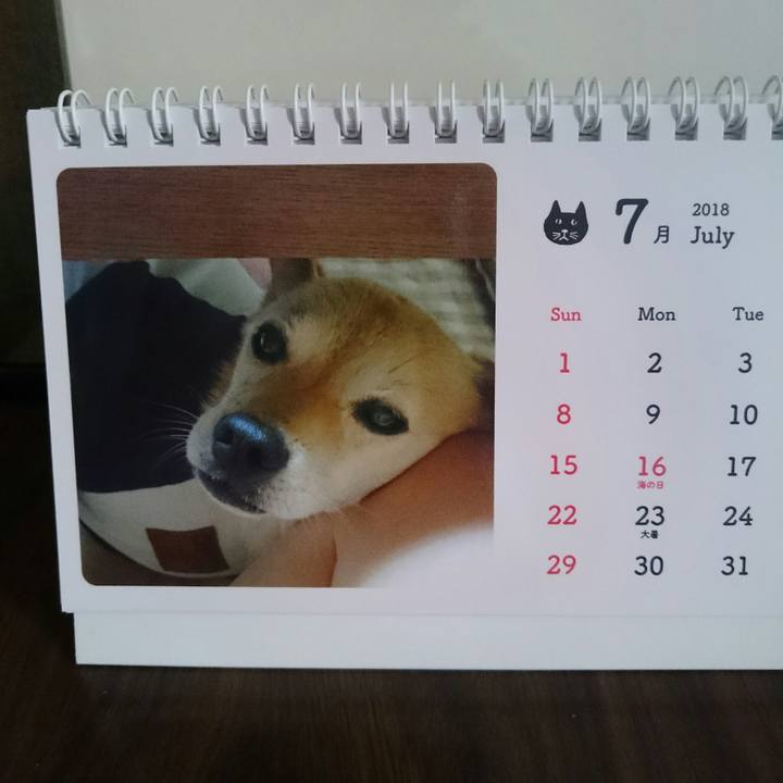 25498f3a 0262 48a0 94b2 402b5028b2a5 1530412464656