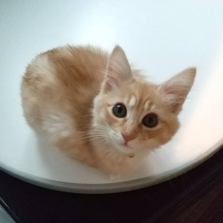 25499aef ec86 42dc 95f7 587fedbe5401 1607152249702