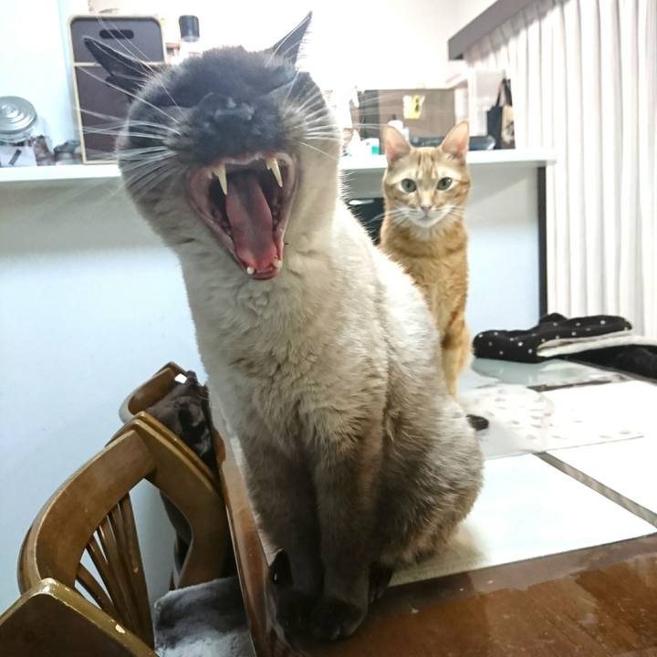 2549bc71 8268 4169 8d23 db93ed66a1ee 1548073693666