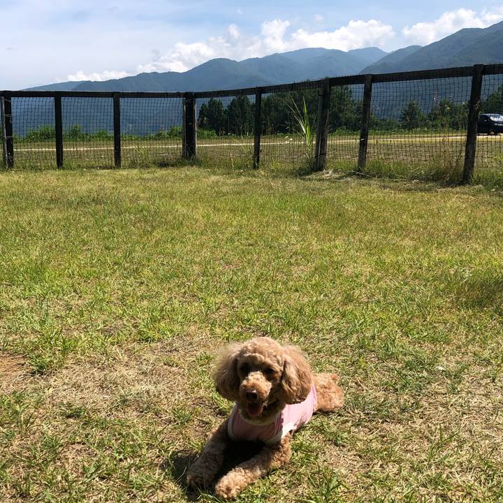 2549da40 c480 4198 9437 fea3b023b5a1 1772316002735