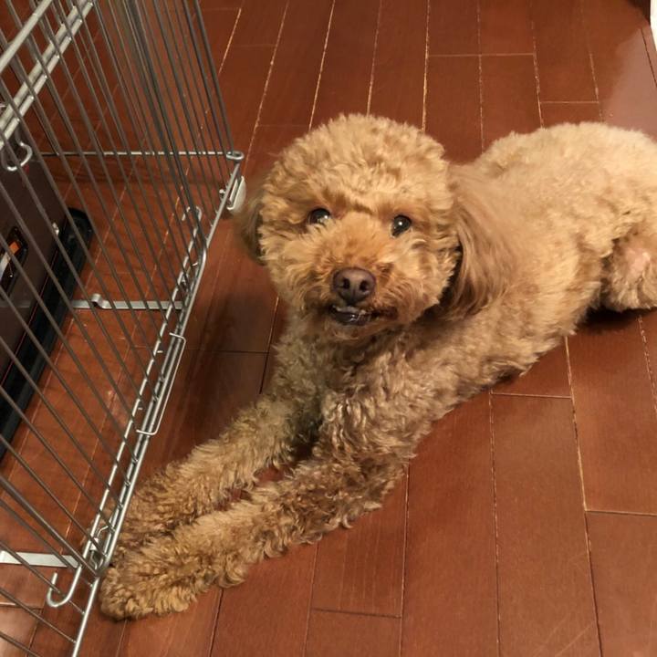 2549eafb de7a 495e 8b10 6610825f3959 1517365569618