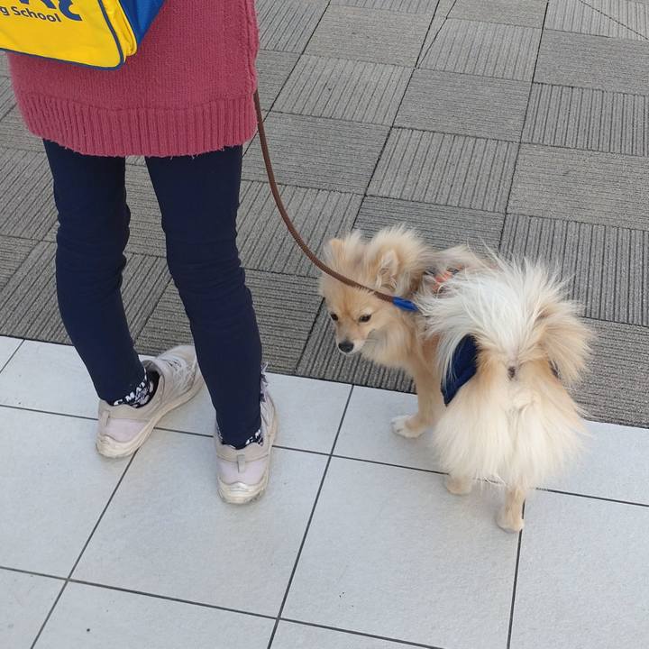 2549f5eb 9aef 4531 a43f 04c3fb45adbc 1741863427067