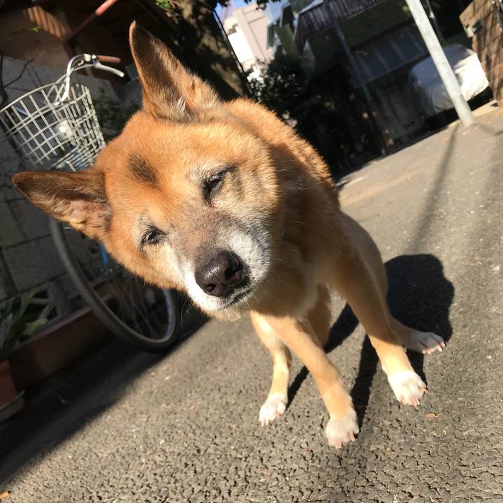 254a055b 5b7a 42bd 9358 f78574e0c429 1543625015910