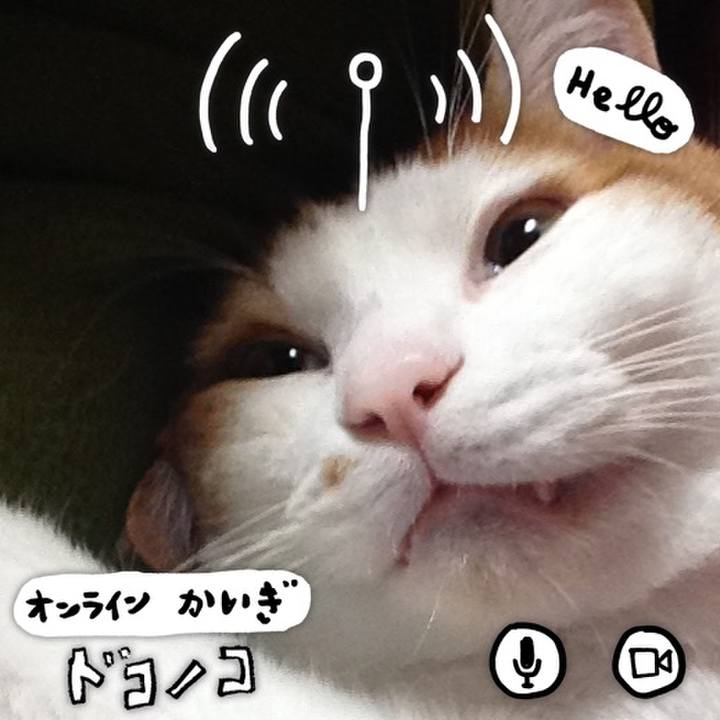 254a5b6c 0cea 46fe b9a5 b5d6c8882dcb 1590848219928