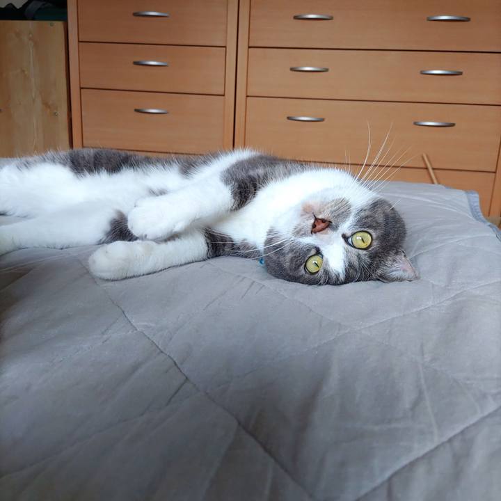 254a7495 6ee6 4fd0 b064 b767640c39e7 1722040224762