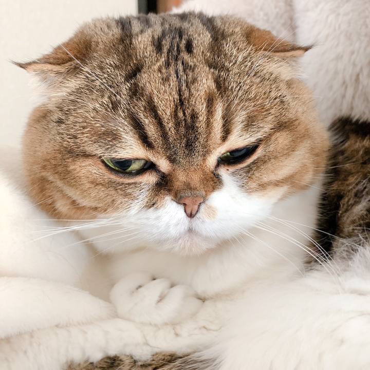 254aafe0 9a0d 4b56 b4fc e1845a24058f 1578631656897