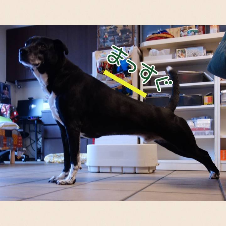 254ad565 1d85 48f6 95f0 17d6b594098b 1742692036564