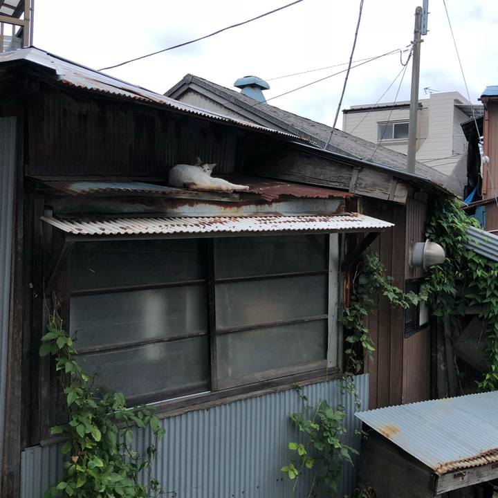 254b04f4 217d 4342 b38b 358067de9b45 1536073555607