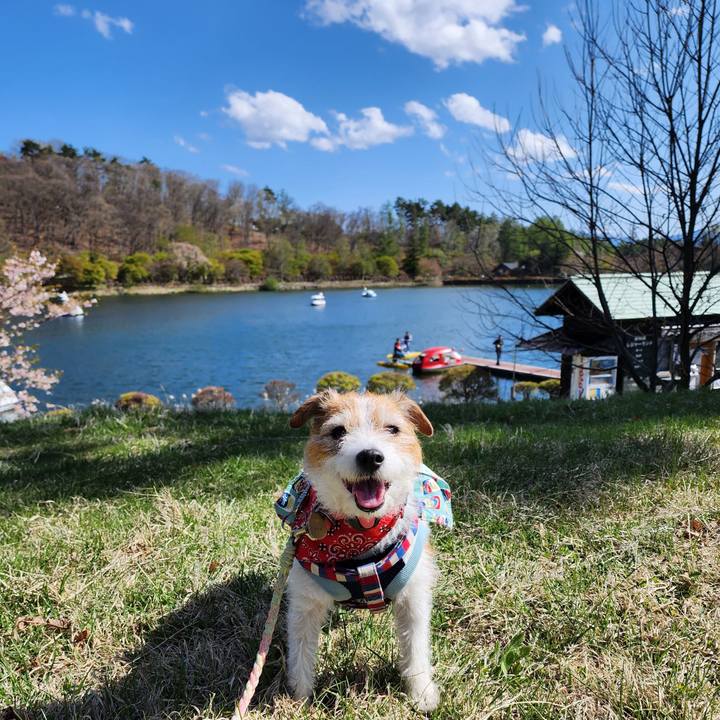 254bb273 79f1 485f 9d1f e6768b9cedf4 1746531083950