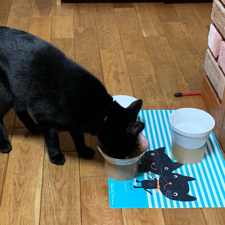 254bbbf1 34dd 4ce4 bea3 d96b1d329640 1588627959790