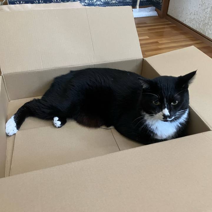 254bc01d 275c 4601 8356 eebc32439a33 1766036873705