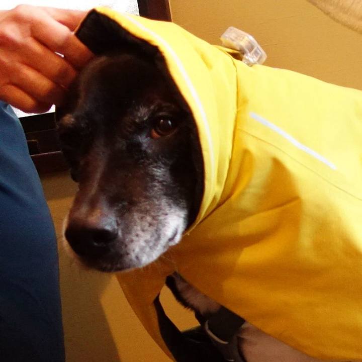 254bc4f5 02b9 4b6b a677 aaddace6273a 1740181035530