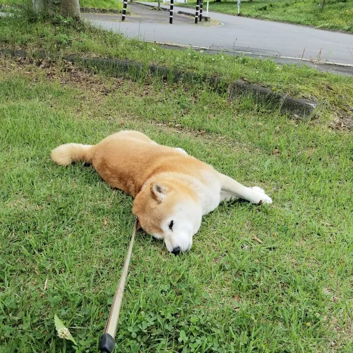 254c2507 9ccb 4811 a715 d95057ad61a1 1686805755633