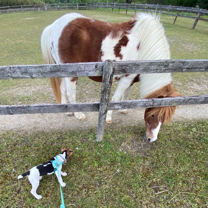 254c42dc 065a 48d6 af43 47470d2bc2e8 1746363381095