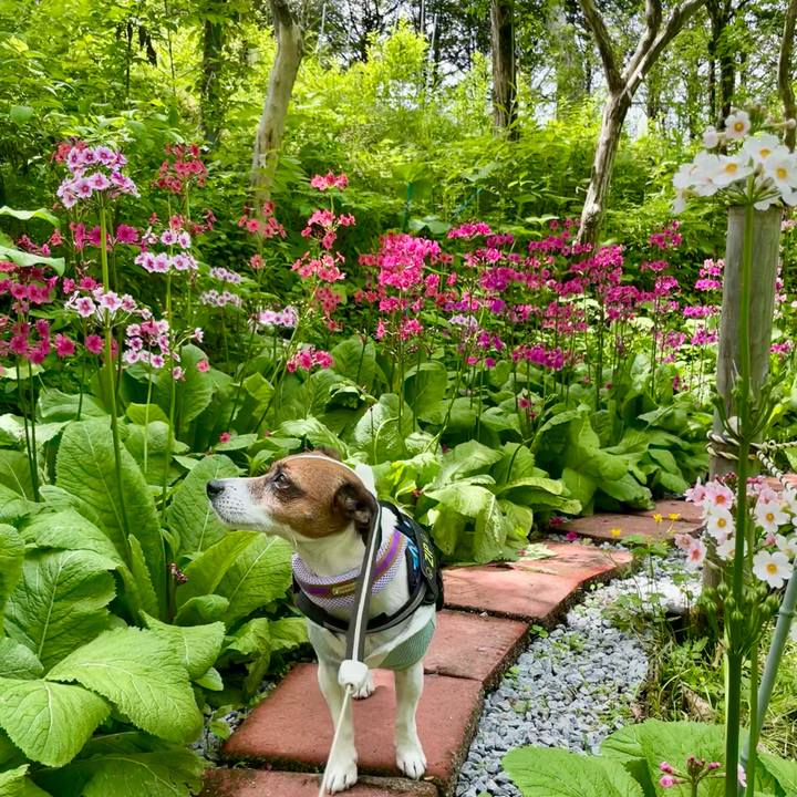 254c5062 4a67 4d14 a659 416dc05ce487 1716789661533