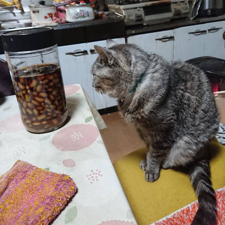 254c63e4 8988 4883 99dd c6bb398e6d42 1572949835709