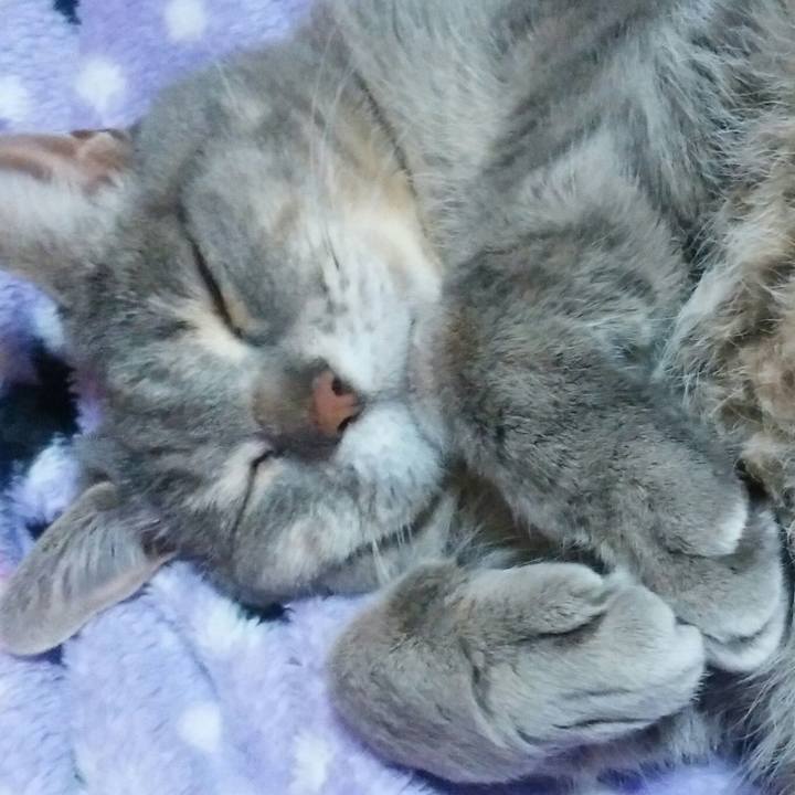 254c69c4 5158 4883 ae0b 6895f915abfa 1526111785820