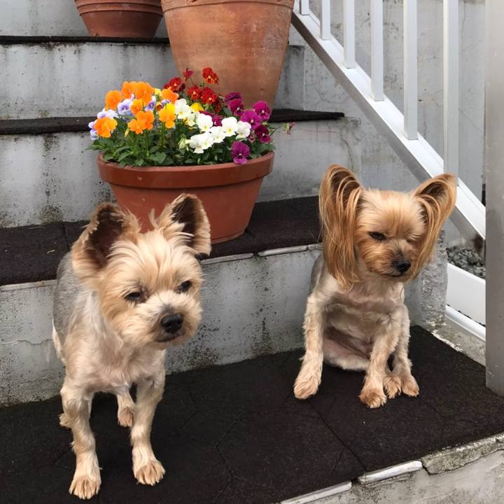 254cf354 795d 40b0 aa3a ea96280c8525 1591948900921