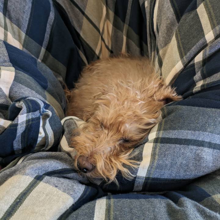 254d1892 e8ee 4ae0 a0ae 705edbef4651 1712359154447