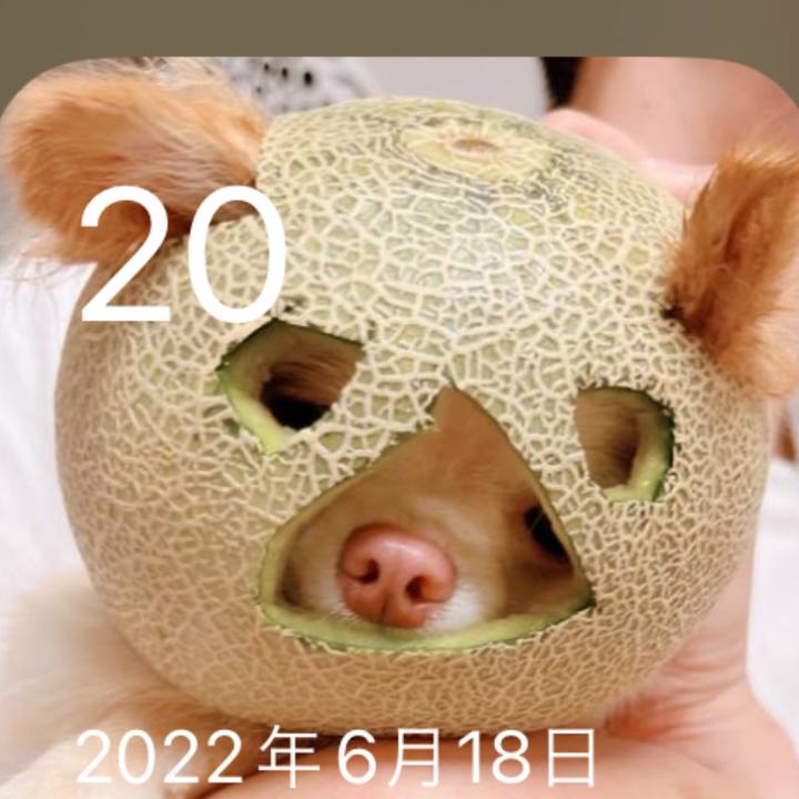 254d2fef bd8e 4dc9 b7a5 40c661b2b78d 1687404106834