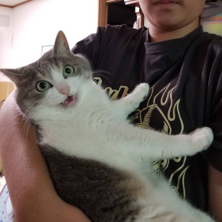 254d3c8b 9a41 4dec a6e1 4ae0ab638387 1633267083159